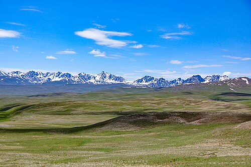 Deosai Plains